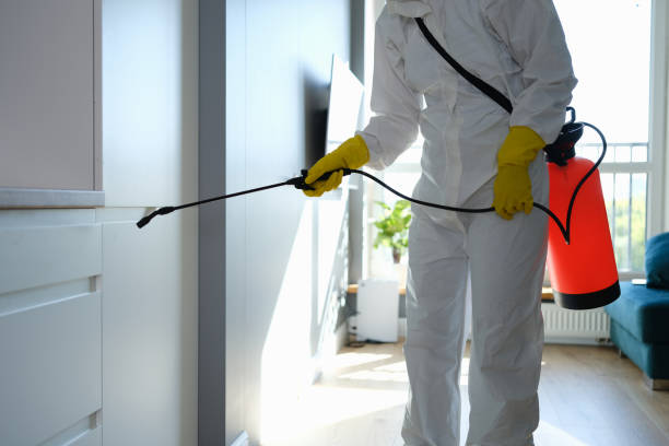 Best Professional Mold Removal  in Tarpon Springs, FL