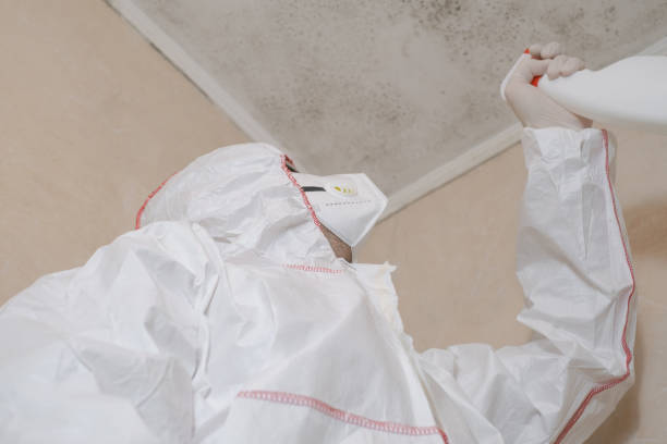 Best Mold Remediation  in Tarpon Springs, FL