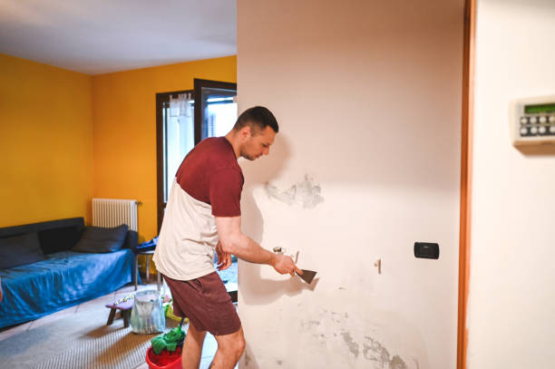 Best Certified Mold Removal  in Tarpon Springs, FL