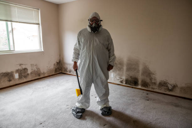 Best Mold Cleaning Services  in Tarpon Springs, FL